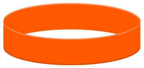 Wristband Color Example - Orange Wristband Color Example - Orange