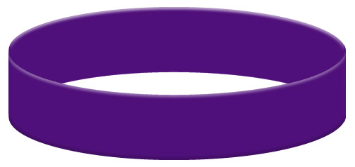 Wristband Color Example - Purple Wristband Color Example - Purple