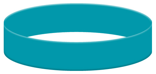 Wristband Color Example - Teal Wristband Color Example - Teal